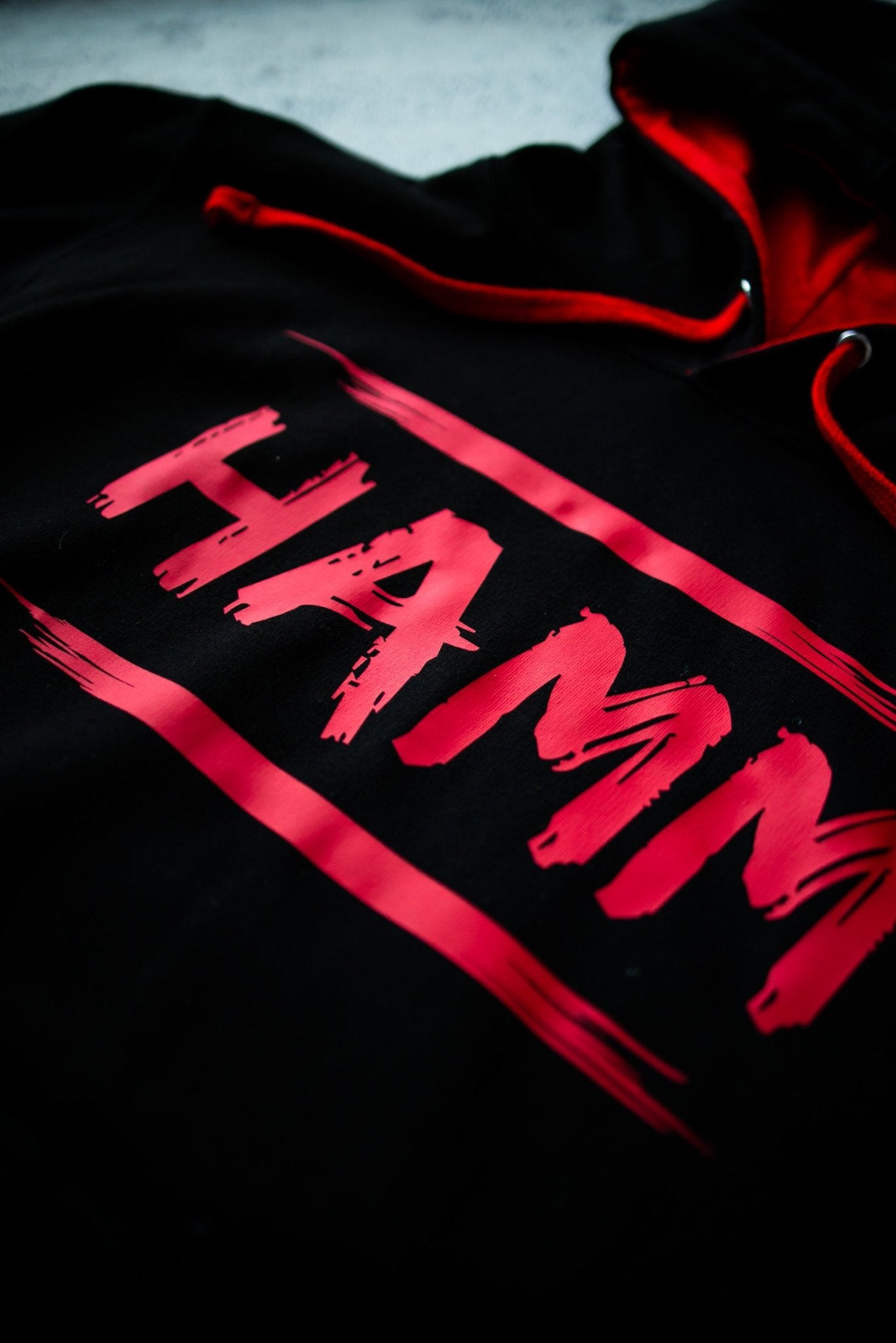 Hamm Hoodie - ASV Hamm-Westfalen Fanshop