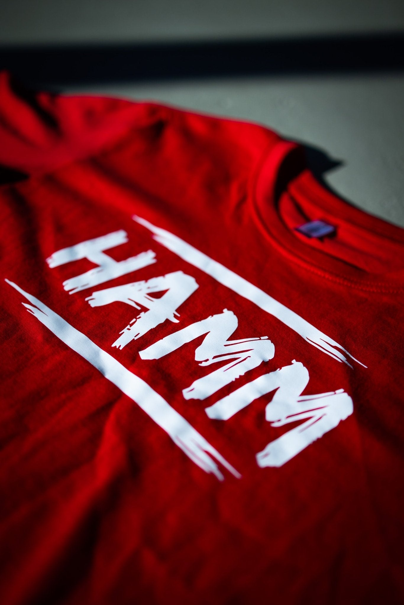 Hamm T-Shirt - ASV Hamm - Westfalen Fanshop