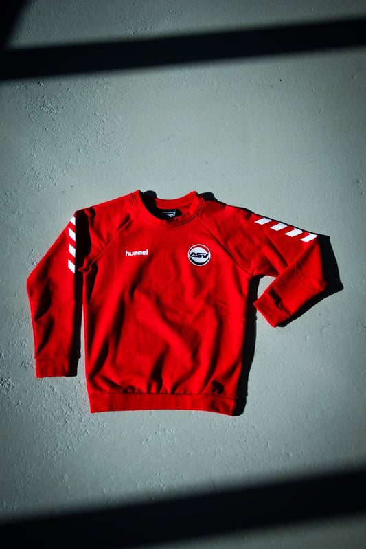 HMLGO Kids Sweatshirt - ASV Hamm - Westfalen Fanshop