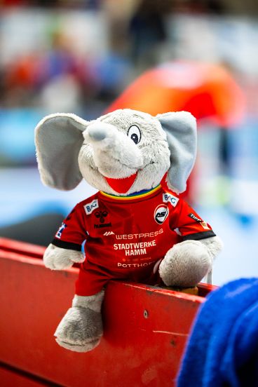 Maskottchen "Maxi" - ASV Hamm-Westfalen Fanshop
