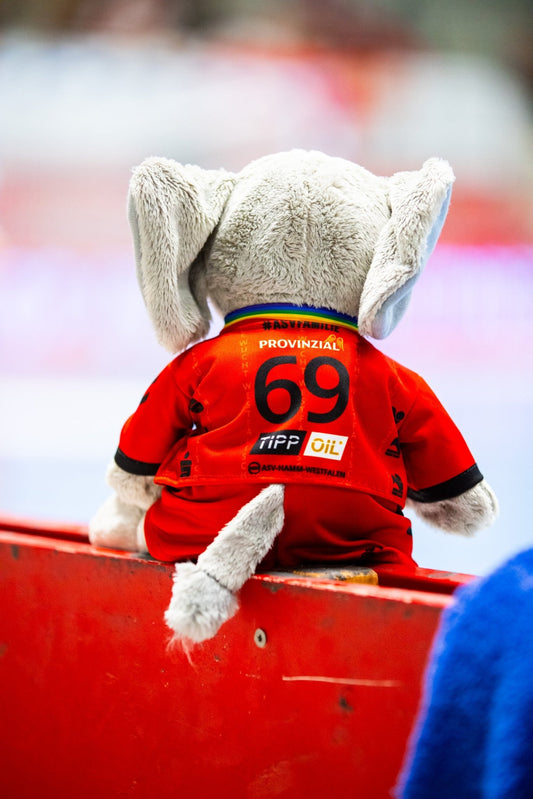 Maskottchen "Maxi" - ASV Hamm-Westfalen Fanshop
