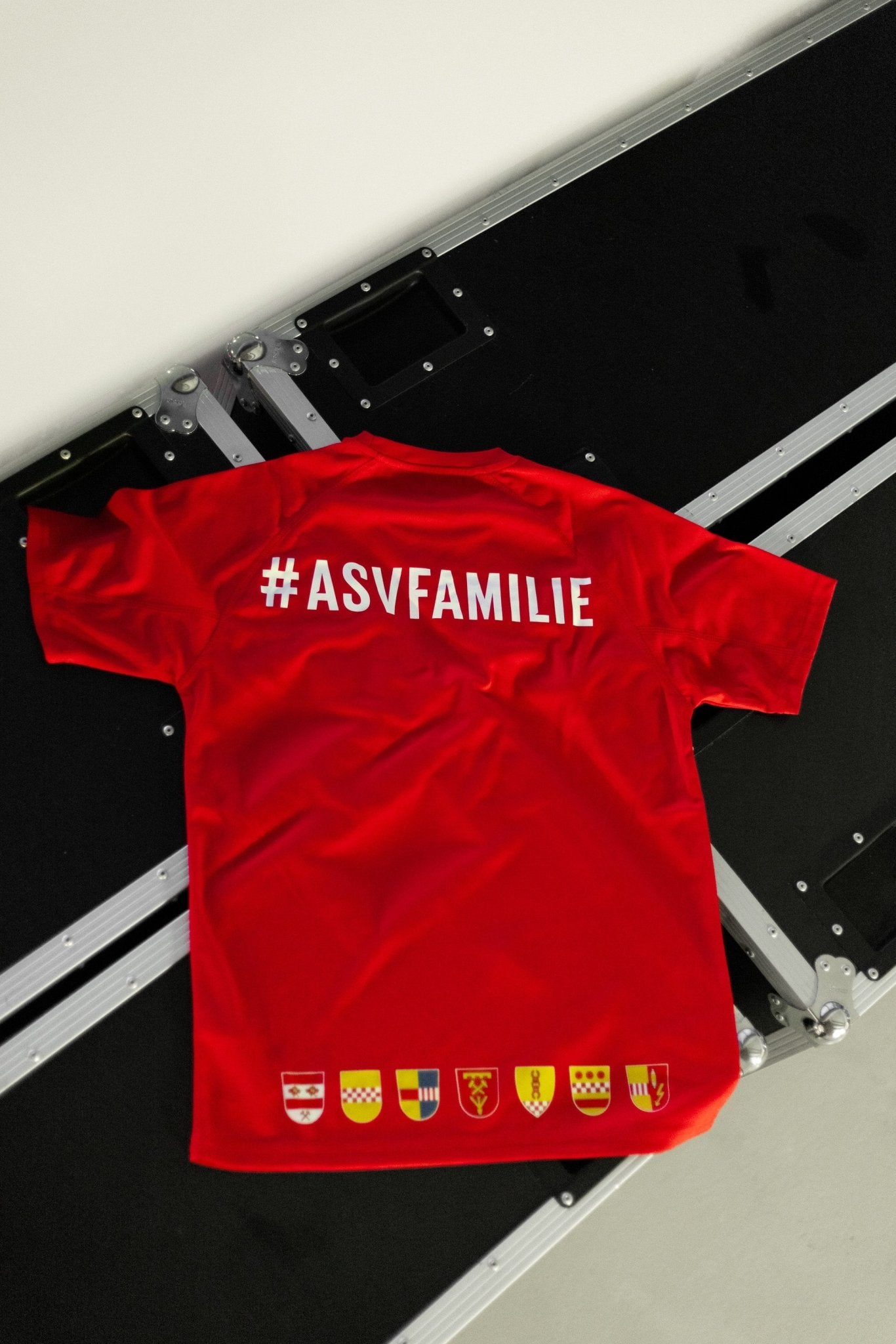 T-Shirt "Volle Wucht westfälisch" - ASV Hamm - Westfalen Fanshop