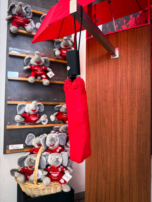 Taschenschirm - ASV Hamm-Westfalen Fanshop