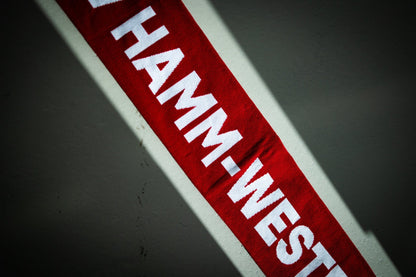 Fanschal - ASV Hamm - Westfalen Fanshop