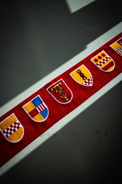 Fanschal - ASV Hamm - Westfalen Fanshop
