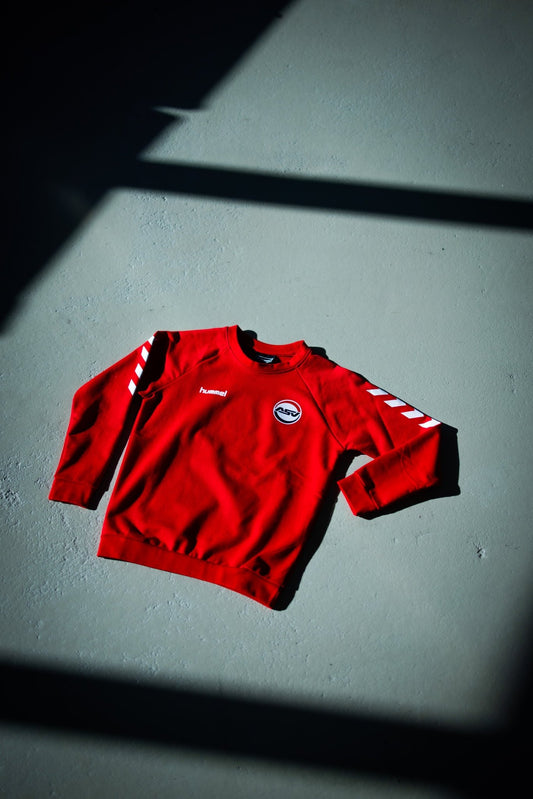 HMLGO Kids Sweatshirt - ASV Hamm - Westfalen Fanshop