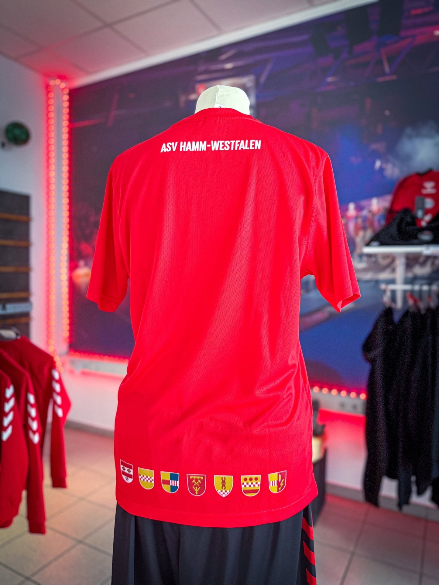 T-Shirt "Volle Wucht westfälisch" - ASV Hamm - Westfalen Fanshop