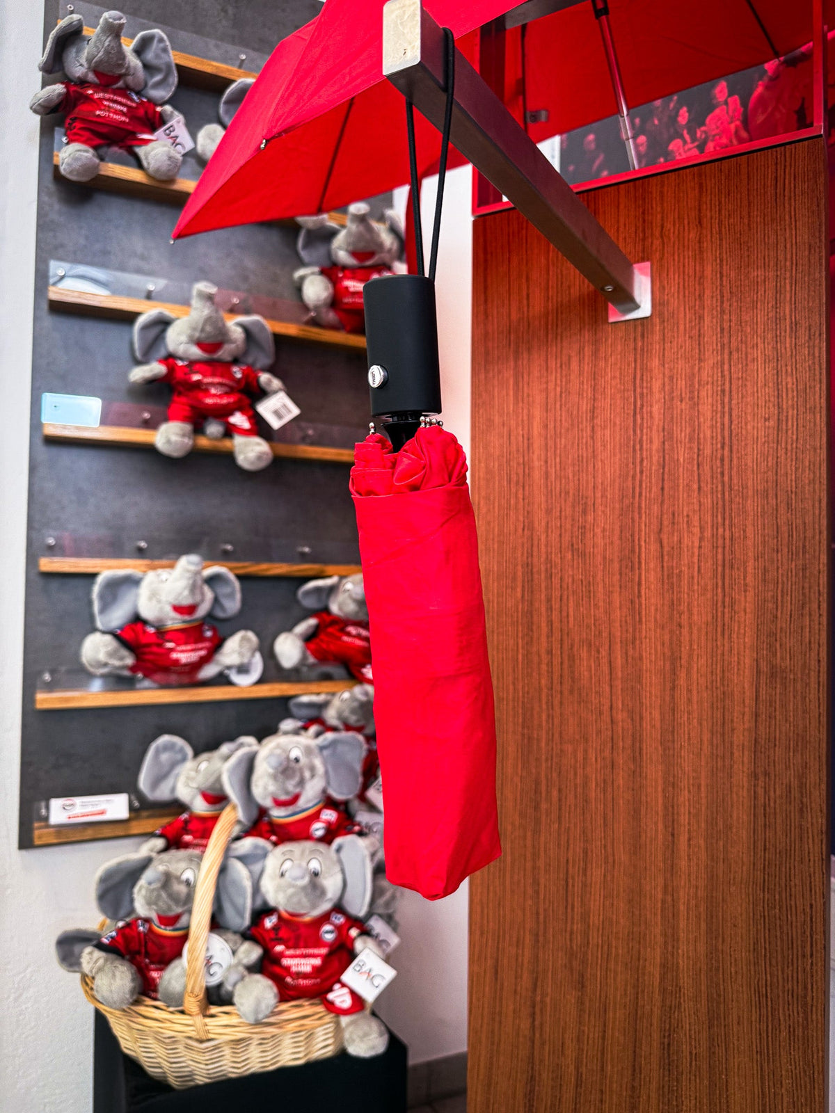 Taschenschirm - ASV Hamm-Westfalen Fanshop