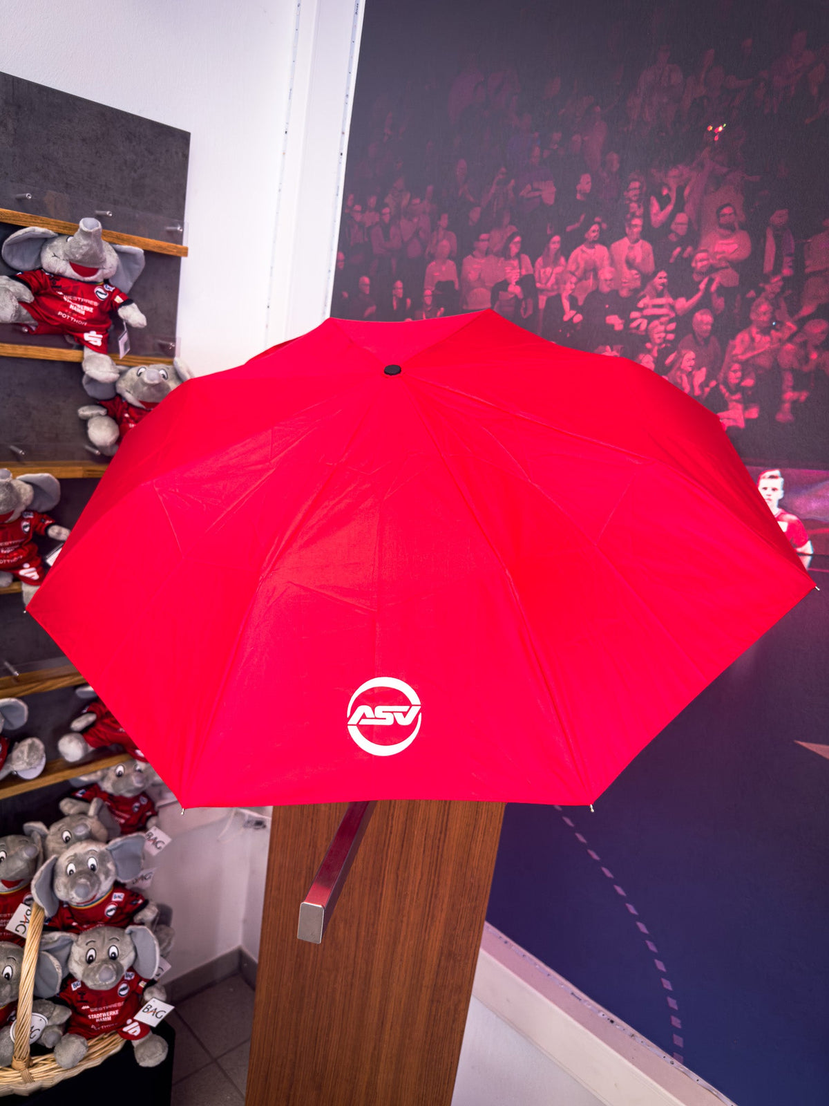Taschenschirm - ASV Hamm-Westfalen Fanshop